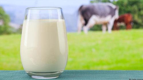 Tejallergia - tejérzékenység